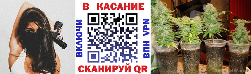 Наркота Рассказово Cocaine ГАШ Канабис