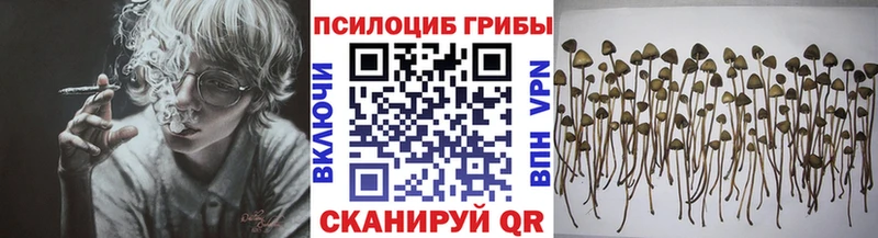 Псилоцибиновые грибы MAGIC MUSHROOMS  купить наркотик  Рассказово 