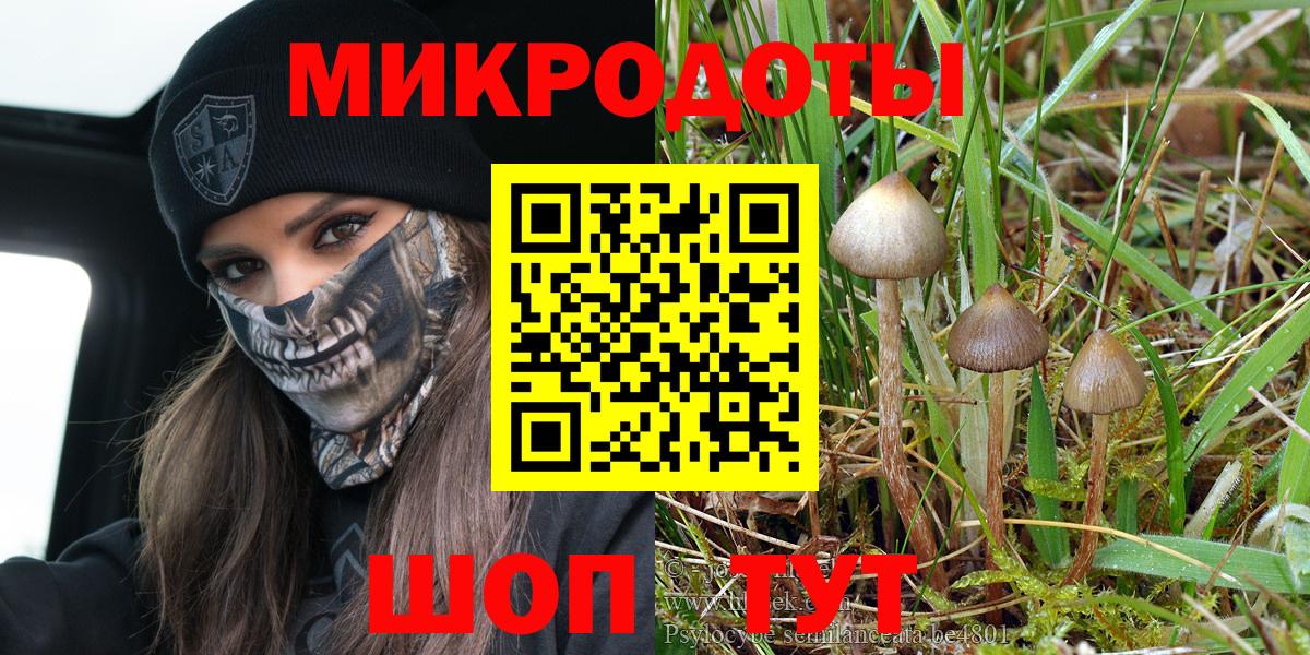 Псилоцибиновые грибы Magic Shrooms  Вход с VPN  как найти   Рассказово 