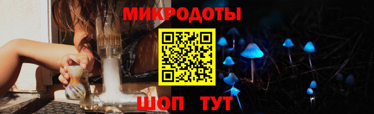Псилоцибиновые грибы Cubensis Рассказово